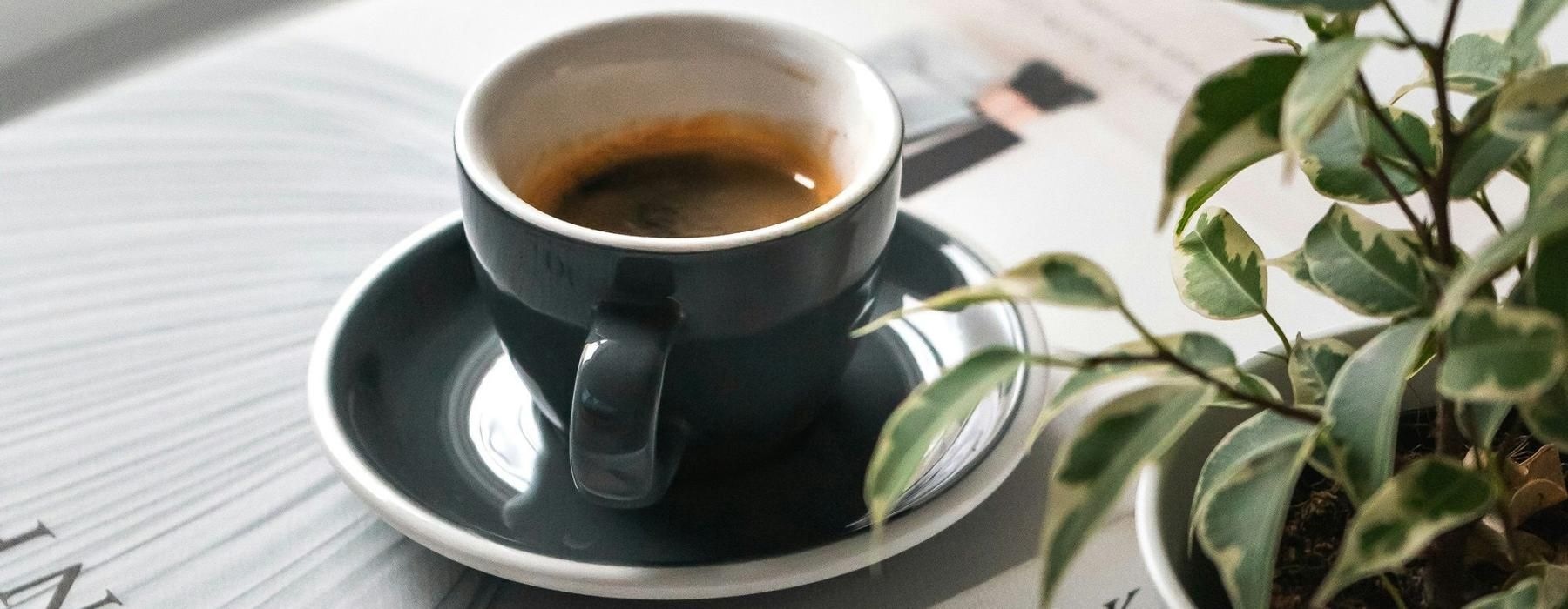 A coffee table with a book, cup of espresso on a saucer, and a plant.
