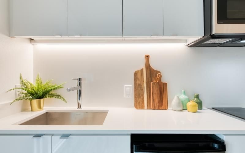 a kitchen with a sink and a plant